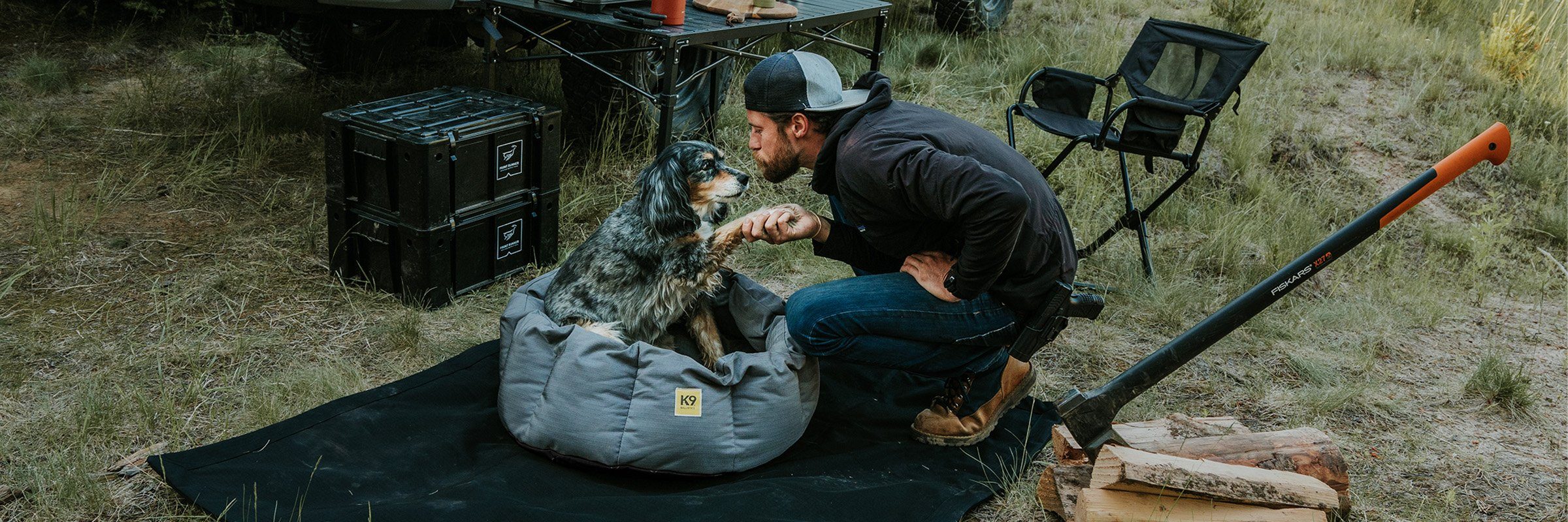 How to remove a tick from you dog?