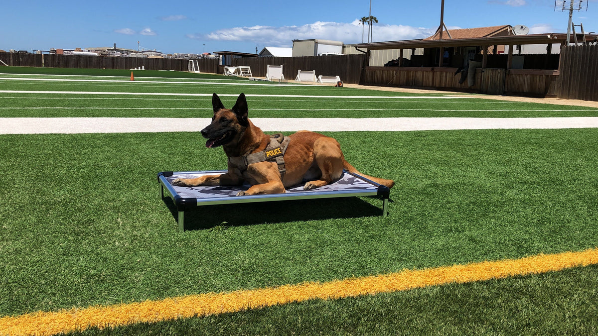 K9 Pro K9 Ballistics