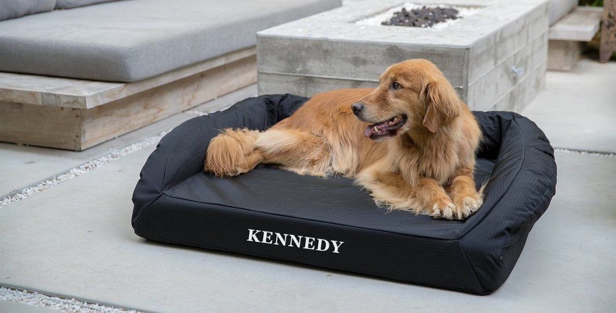 Vinyl dog outlet bed