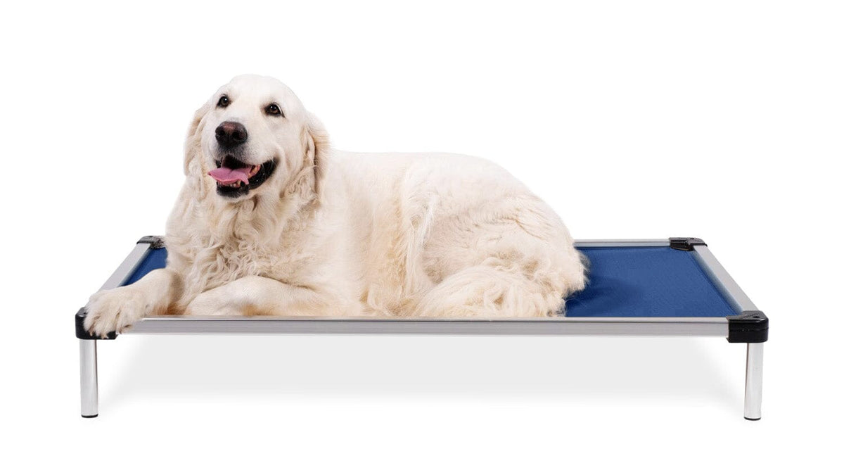 Chew-Proof Beds for Dogs  Chew Resistant Beds for Dogs
