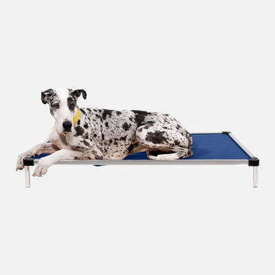 Chew Proof Armored™ Rip-Stop Elevated Dog Bed
