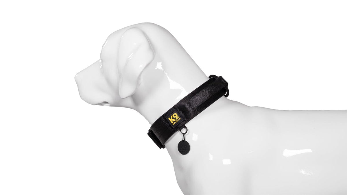 K9 Pro™ Dog Collar with Handle K9 Ballistics