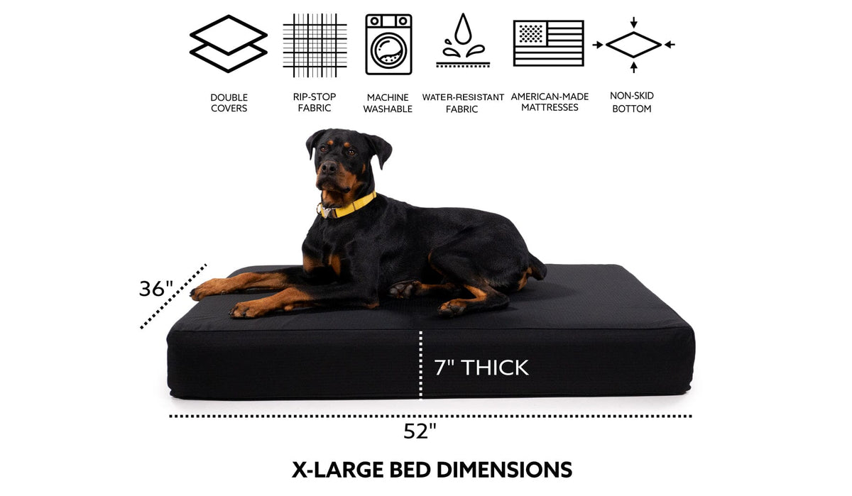 Thick orthopedic shop dog bed