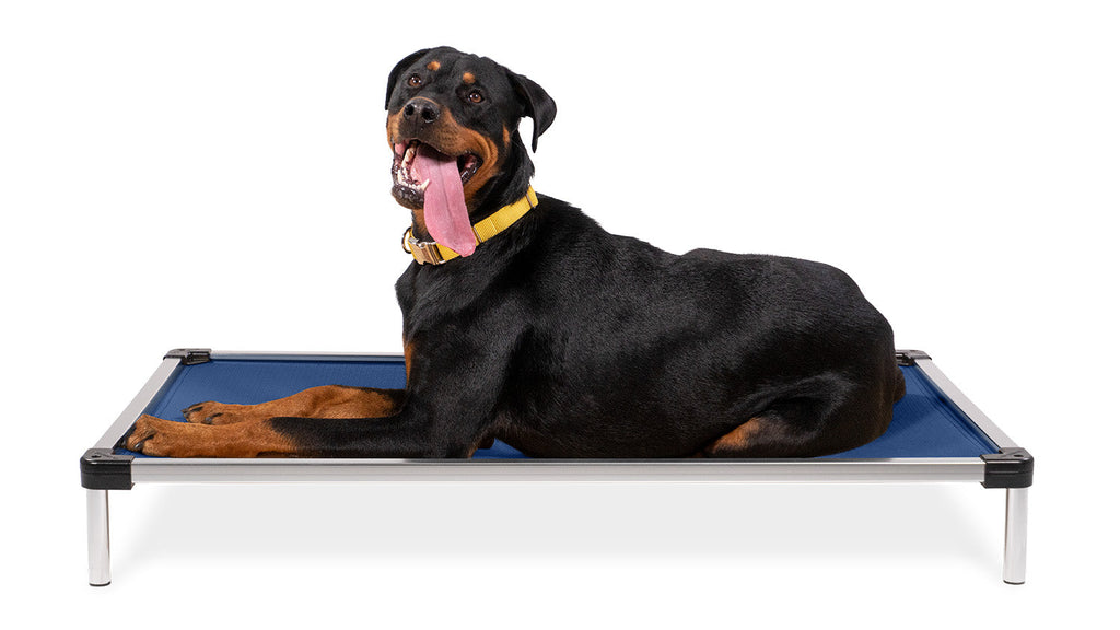 Chew Proof Armored™ Rip-Stop Elevated Dog Bed