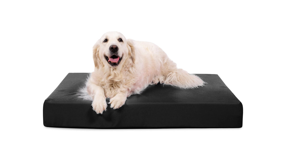 Large Chew Resistant Dog Bed Dog Beds for Dogs That Chew Perfect for Pet Up  to