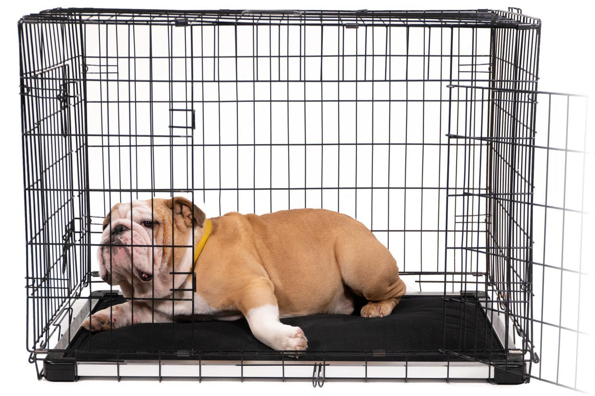 Chew Proof Armored™ Dog Crate Pad  Indestructible Dog Beds – K9 Ballistics