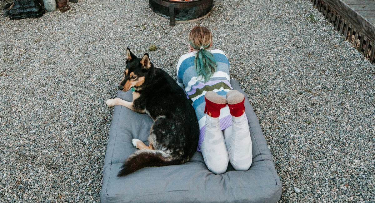 The Curious Case Of The Gray Dog Bed K9 Ballistics