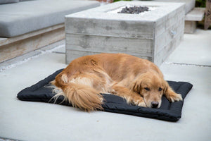 Open Box Dog Beds