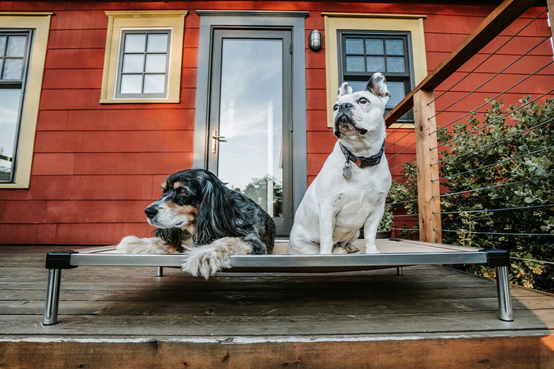 A closer look at Pet Crate And Elevated Bed Ateh Village