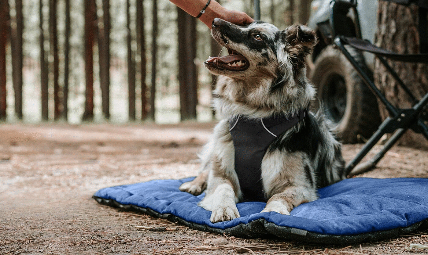 Made With Recycled Materials