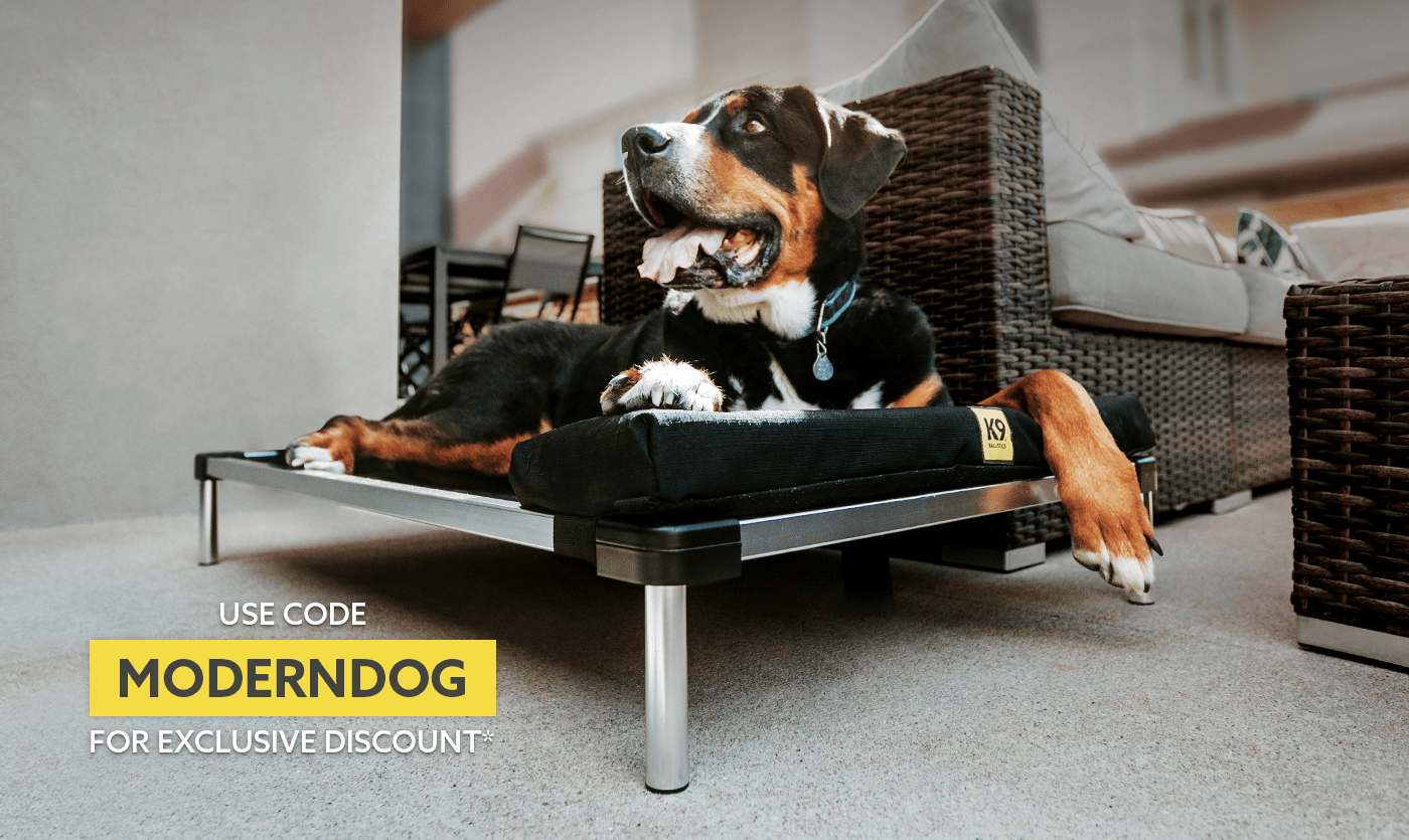 Chew Proof & Tough Dog Beds | Modern Dog Magazine