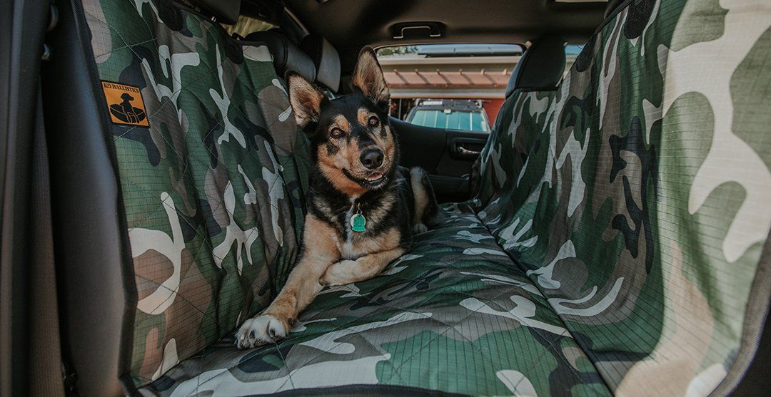 Accessories/Car Seat Covers