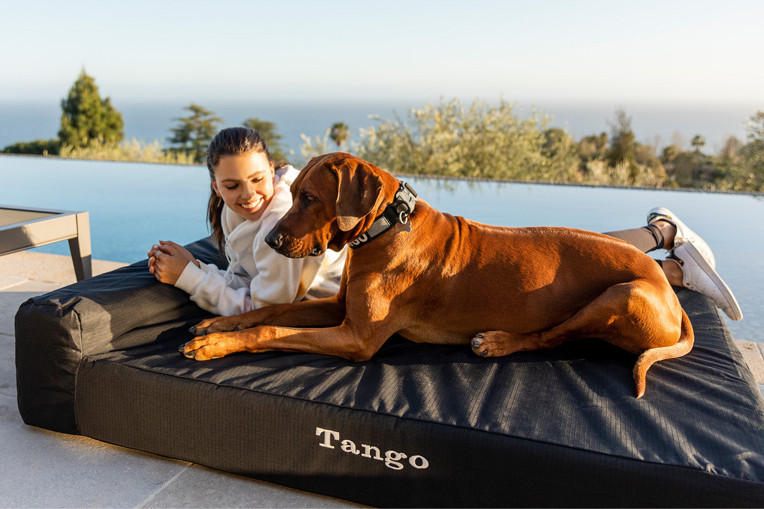 Giant & Extra Large Dog Beds