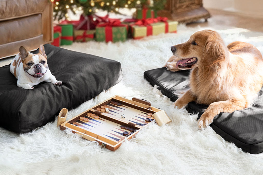 Best Selling Dog Beds