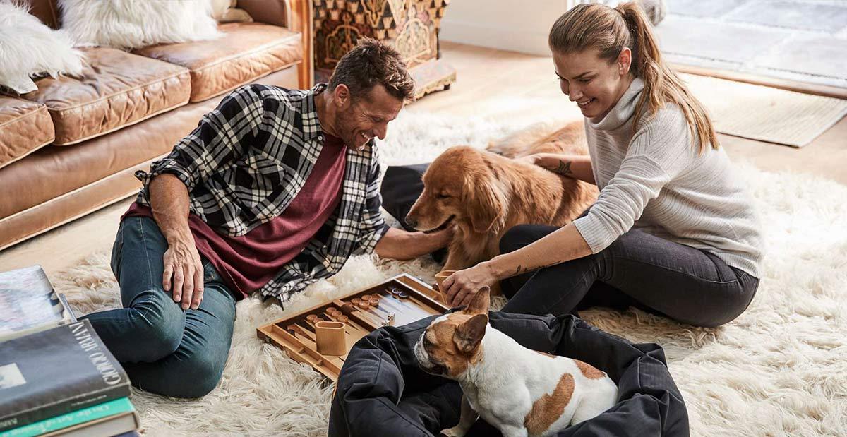 K9 Ballistics Dog Beds & Accessories