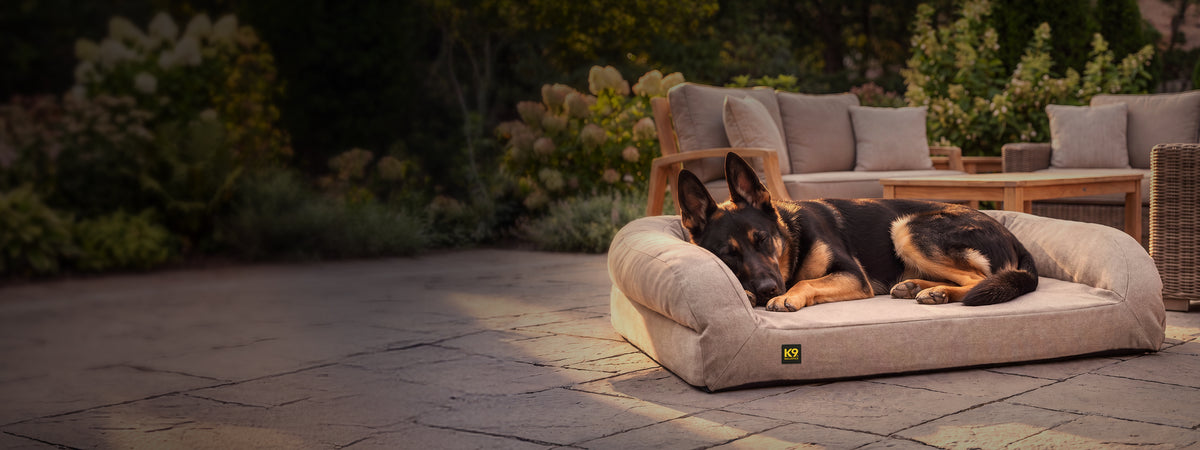 A black and tan german shepherd snoozes on a beige rectangle bolster bed outside on a patio area surrounded by large flowering plants.