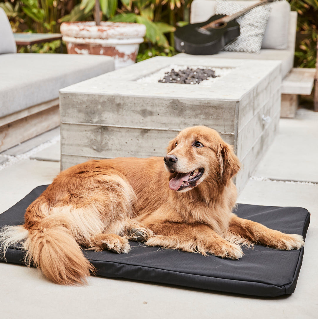 Clearance Tough Dog Beds for Less K9 Ballistics®