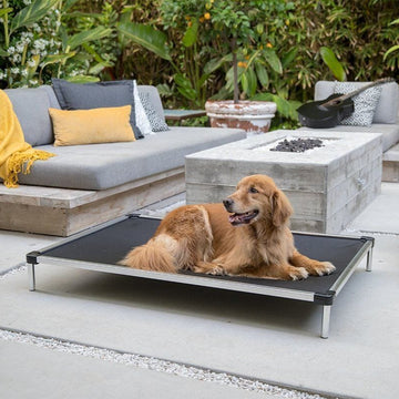 Chew Proof Armored™ Rip-Stop Elevated Dog Bed