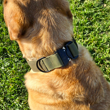 K9 Pro™ Collar — Built for Maximum Strength and Control