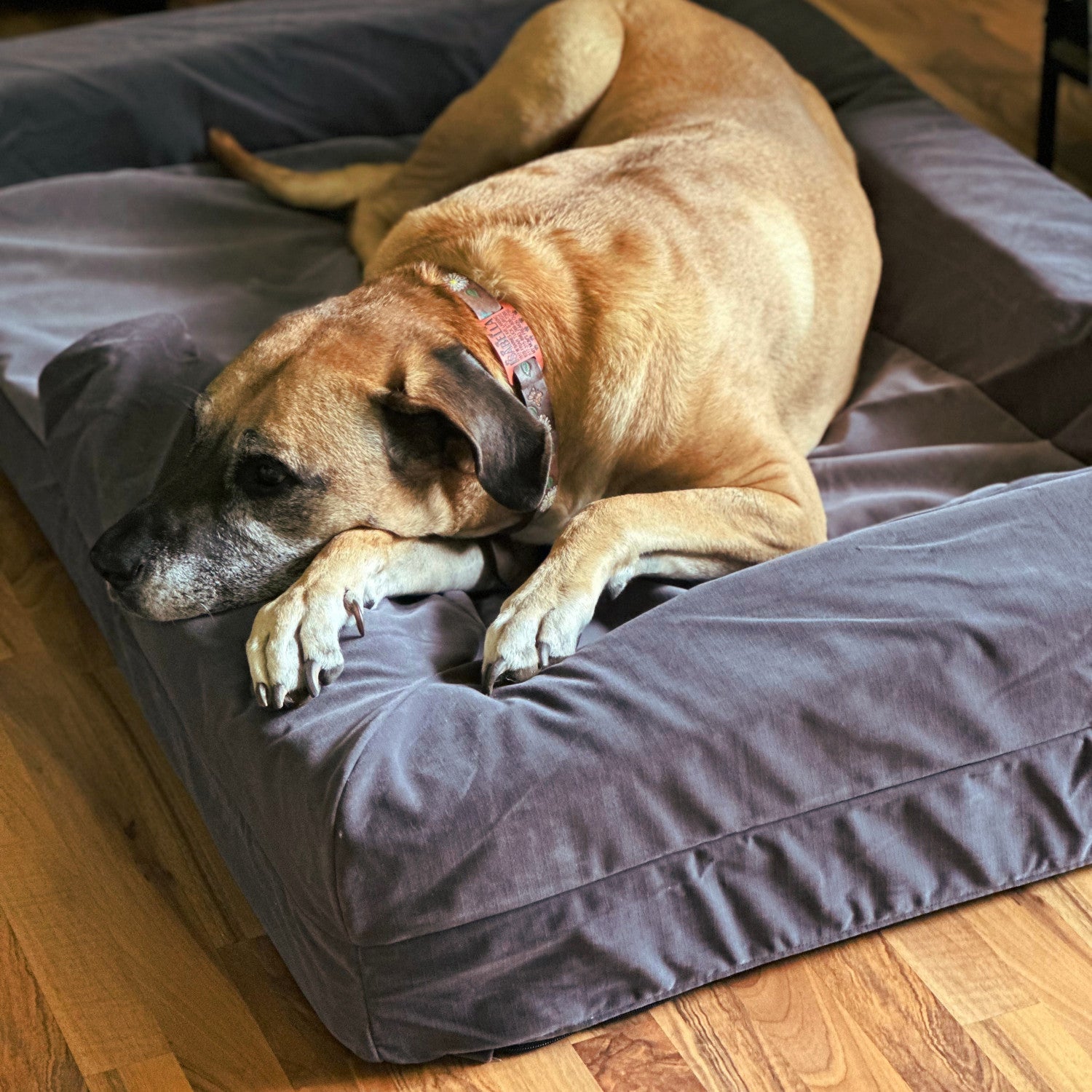 Pet Bed Dane Proof Bed Tough Ripstop™ Bolster Orthopedic Dog