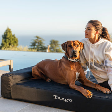 Tough Ripstop™ Giant 7" Bolster Orthopedic Dog Bed - Final Sale