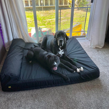 Tough Ripstop™ Giant 7" Bolster Orthopedic Dog Bed