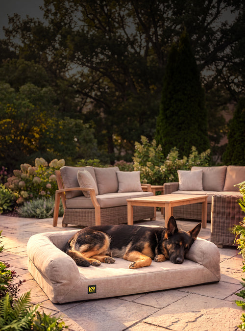 A black and tan german shepherd snoozes on a beige rectangle bolster bed outside on a patio area surrounded by trees and large flowering plants.