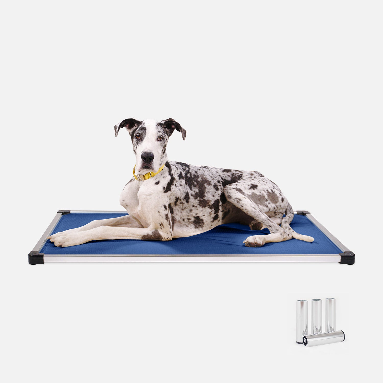 Chew Proof Armored™ Padded Elevated Dog Crate Bed Indestructible