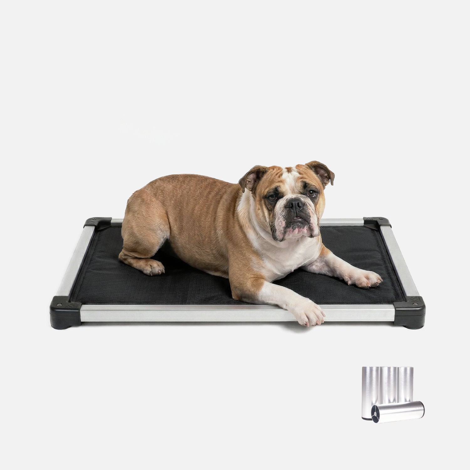 #color_obsidian-black 