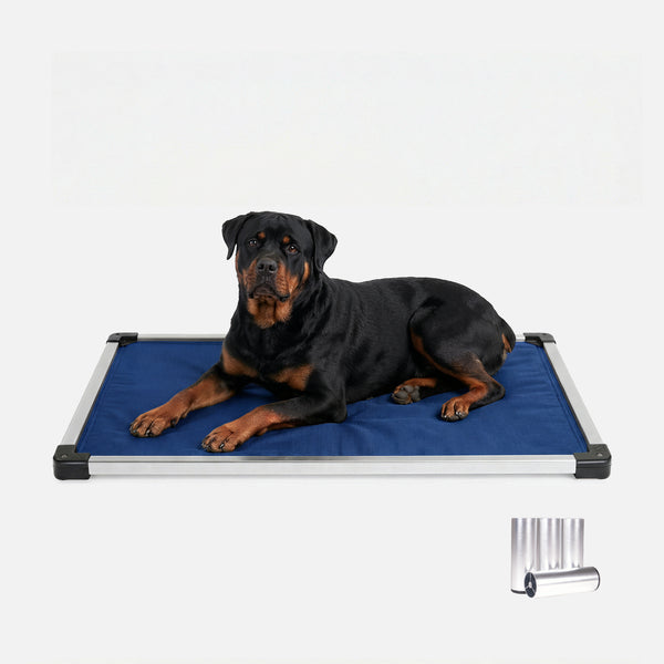 Features to Look for in a Chew-Proof Dog Bed