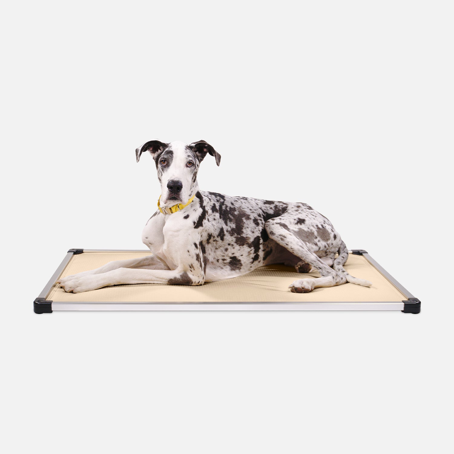 Chew Proof Armored Dog Crate Pad Indestructible Dog Beds K9 Ballistics
