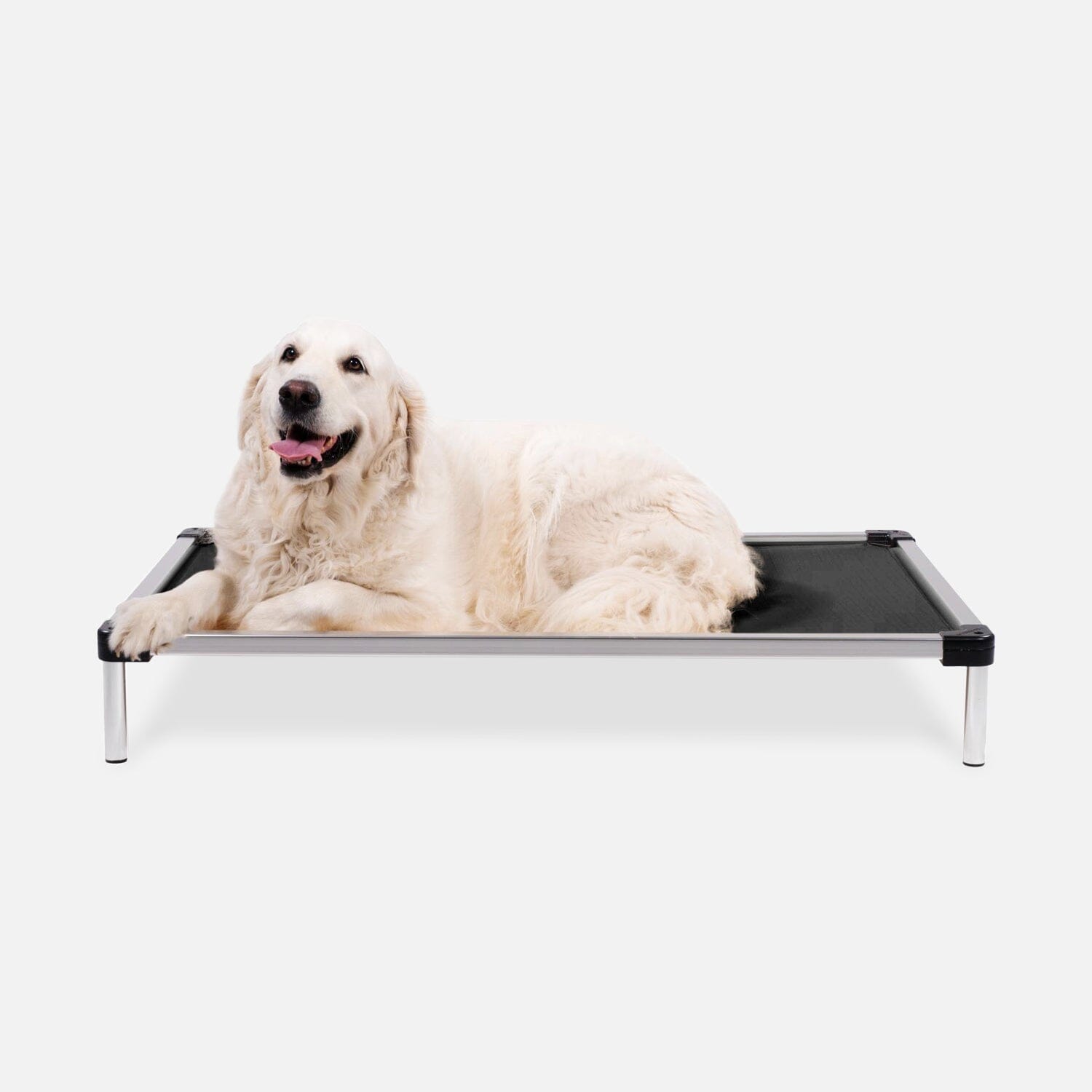 Chew Proof Armored™ Rip-Stop Elevated Dog Bed