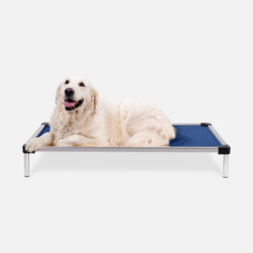 Chew Proof Armored™ Rip-Stop Elevated Dog Bed