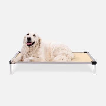 Chew Proof Armored™ Rip-Stop Elevated Dog Bed