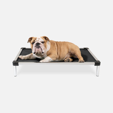 Chew Proof Armored™ Rip-Stop Elevated Dog Bed