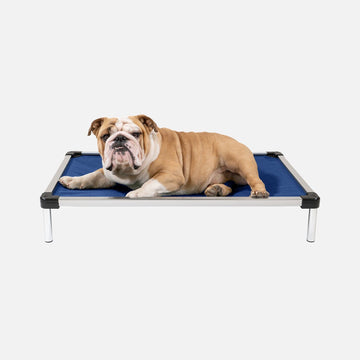 Chew Proof Armored™ Rip-Stop Elevated Dog Bed