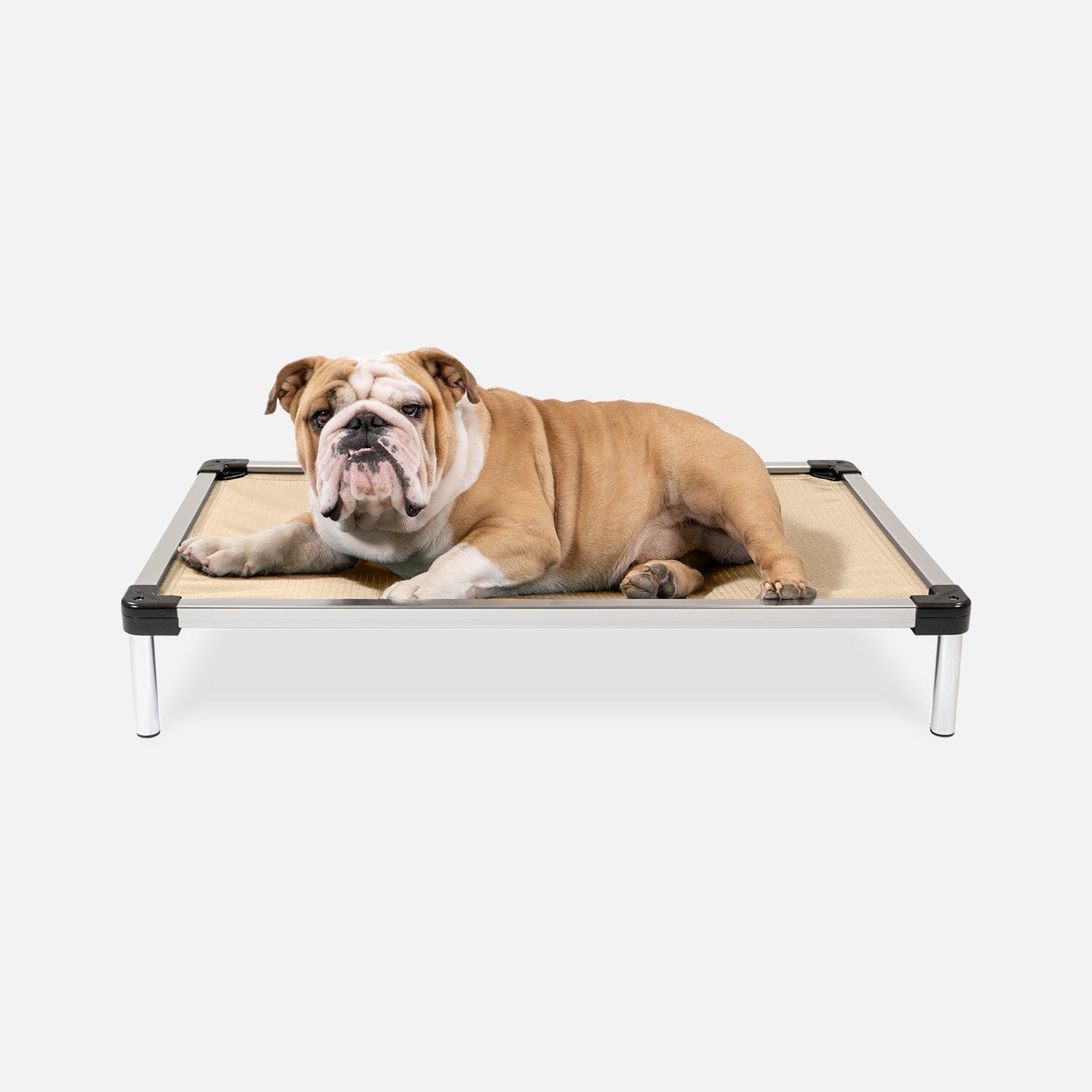 Destruction proof dog bed best sale