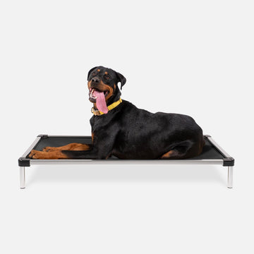 Chew Proof Armored™ Rip-Stop Elevated Dog Bed