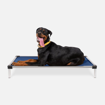 Chew Proof Armored™ Rip-Stop Elevated Dog Bed