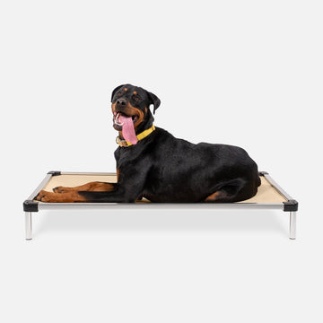 Chew Proof Armored™ Rip-Stop Elevated Dog Bed
