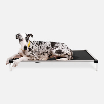 Chew Proof Armored™ Rip-Stop Elevated Dog Bed