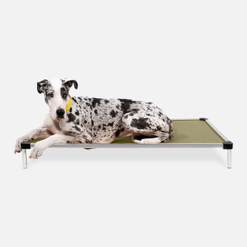 Chew Proof Armored™ Ripstop Elevated Dog Bed