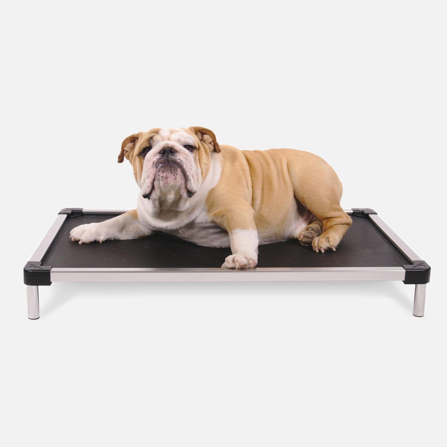 Chew Proof Armored Mesh Elevated Dog Bed