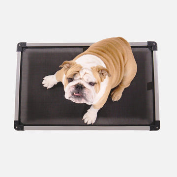 Chew Proof Armored™ Mesh Elevated Dog Bed