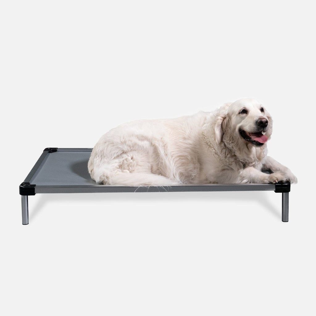 Chew Proof Armored™ Vinyl Elevated Dog Bed