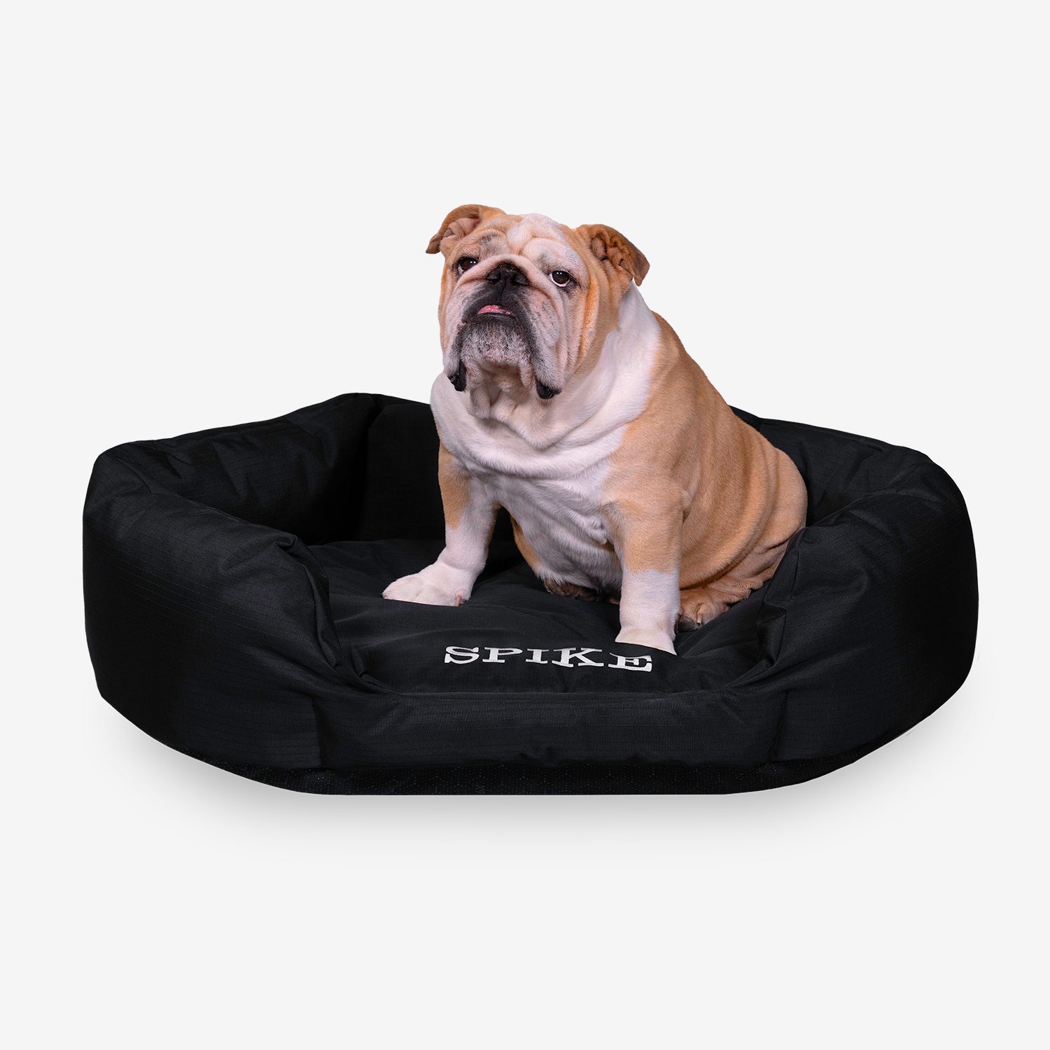 A closer look at Bolster Pillow Dog Crate Set For Dogs
