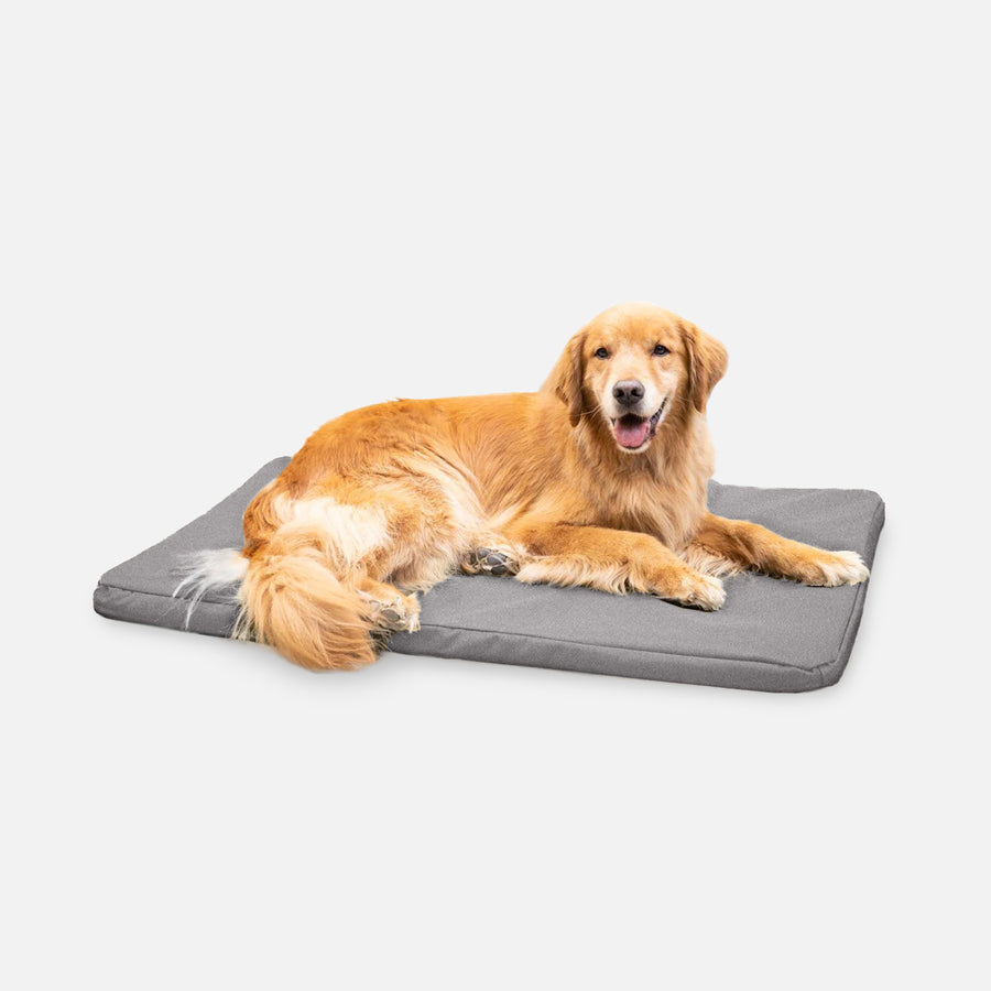 Stunning Orthopedic Dog Crate Pad For Large Breed Dogs image