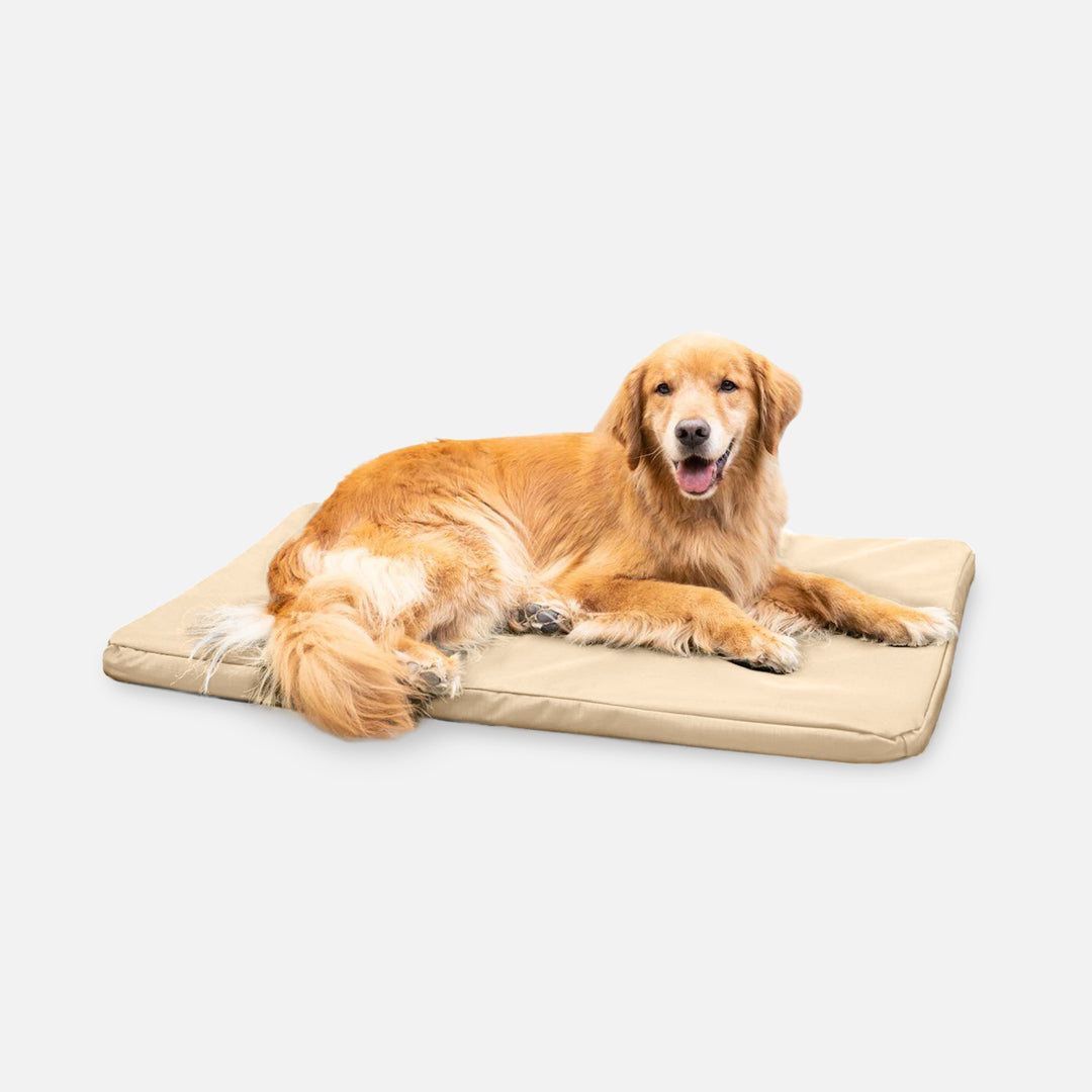 Curated visual reference: Picture Idea: Tough Ripstop Orthopedic Dog Crate Bed