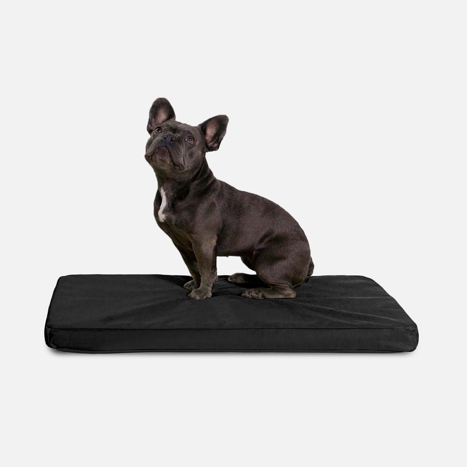 Orthopedic Memory Foam Dog Bed – Waterproof Kennel Mattress With Removable Cover