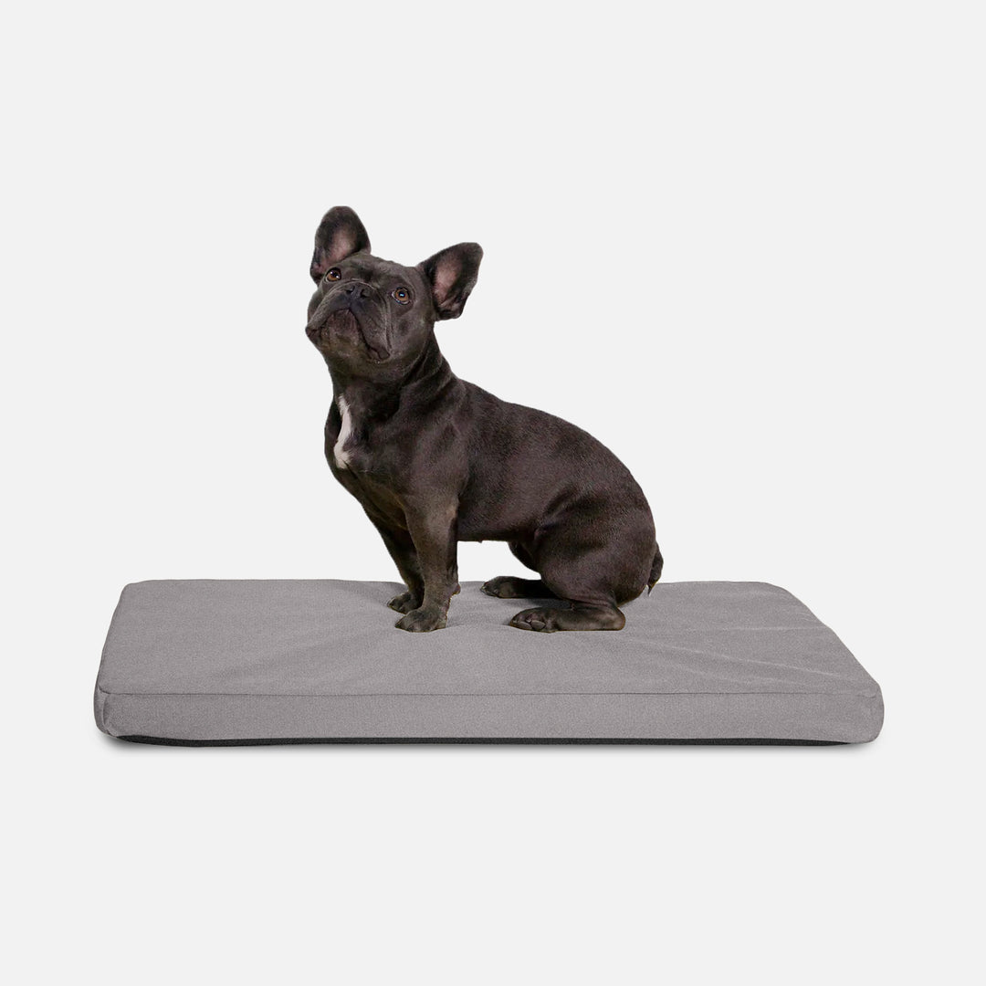 Curated visual reference: Tough Ripstop Orthopedic Dog Crate Bed Photo Inspiration